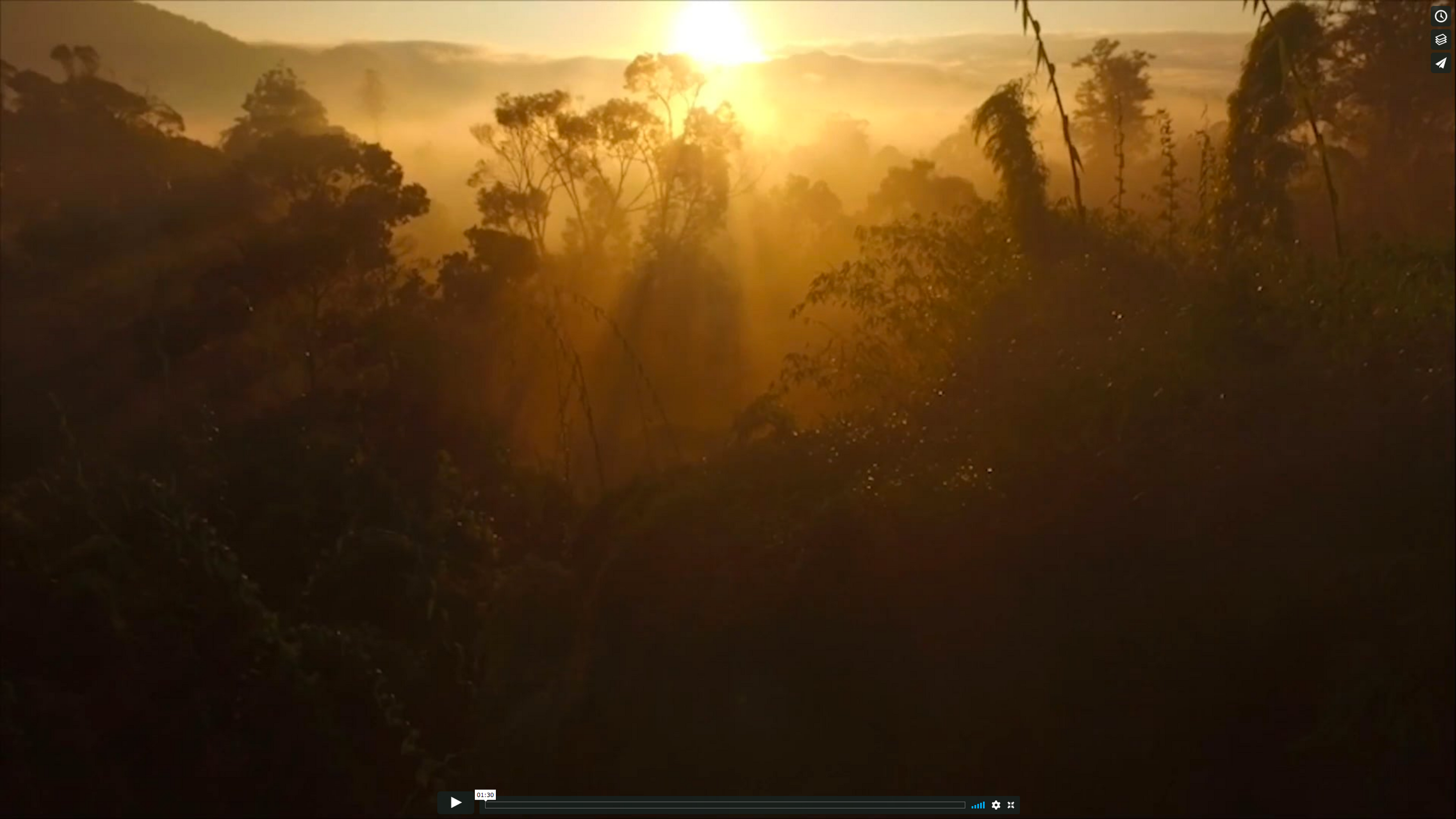 Frères des Arbres HD Trailer 2017